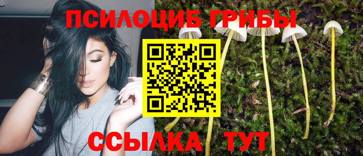 Псилоцибиновые грибы ЛСД Луга